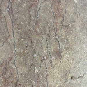 Marmo Grigio Chiampo Porfirico (cod. 37)