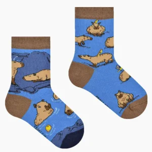 CALZINO CAPIBARA MINI - Spox Sox