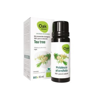 Tea tree